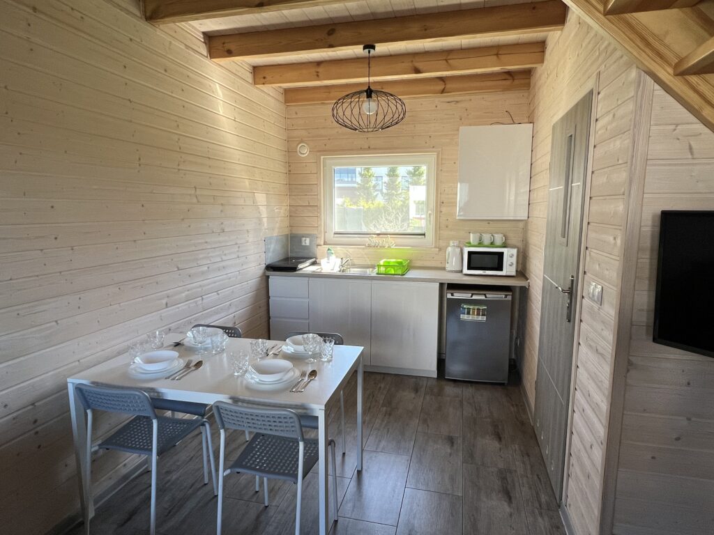 Salon z aneksem kuchennym